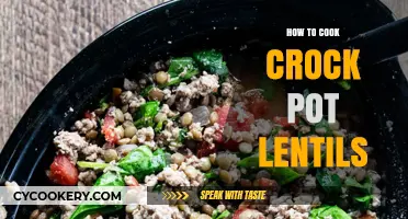 Crock Pot Lentils: A Simple, Hearty Dish