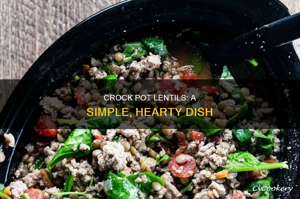 how to cook crock pot lentils