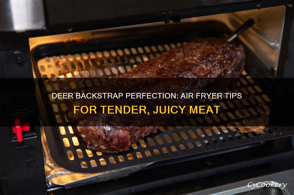 how to cook deer backstrap in air fryer