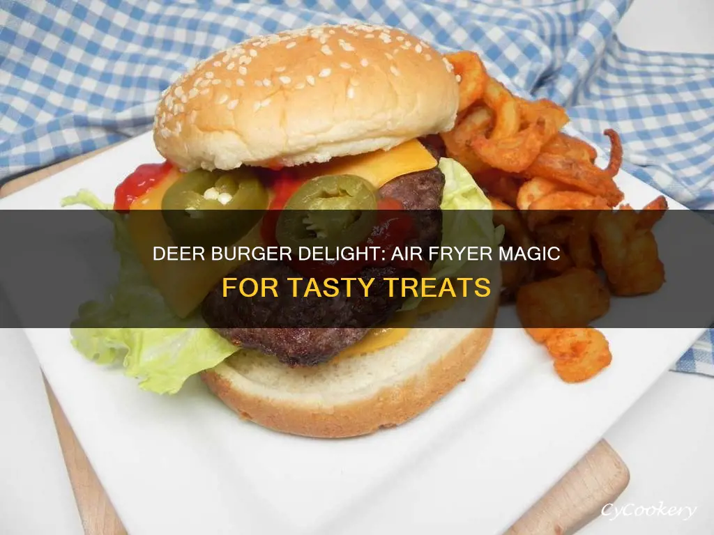 how to cook deer burgers in air fryer