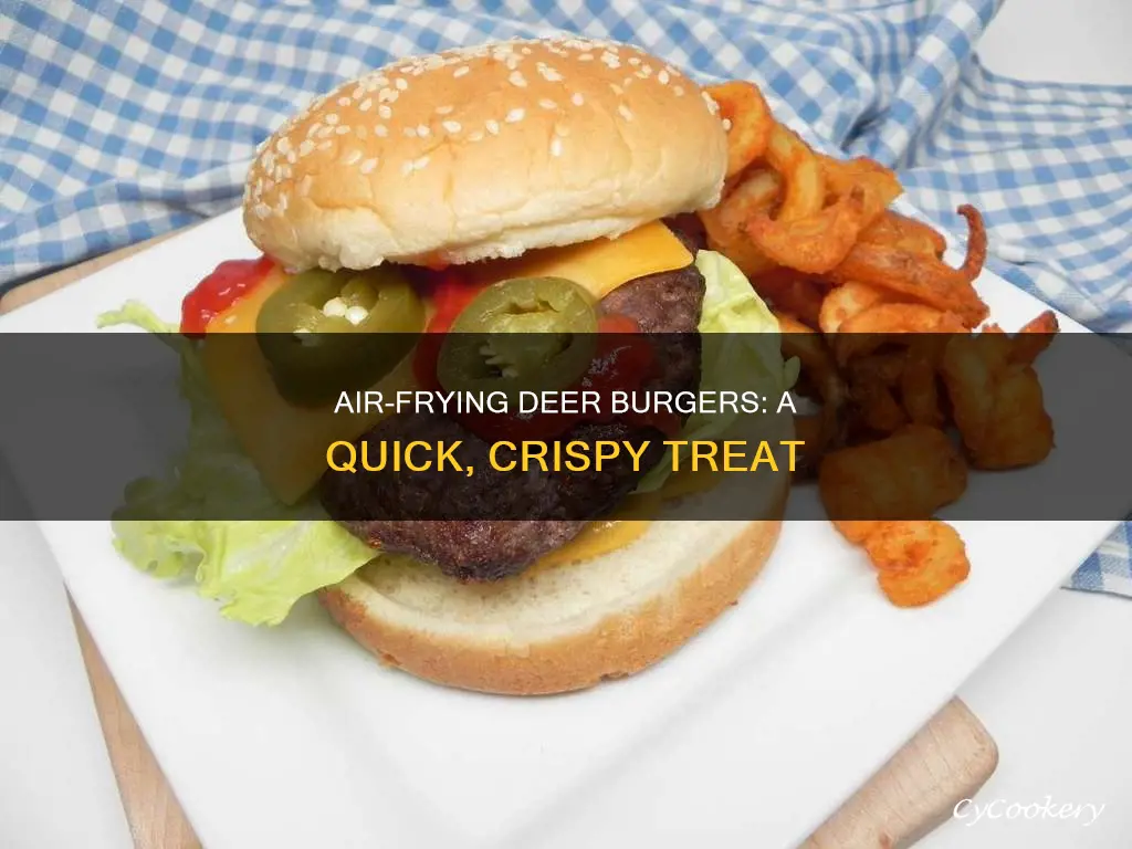 how to cook deer burgers in air fryer