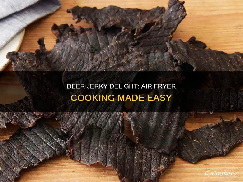 how to cook deer jerky in air fryer