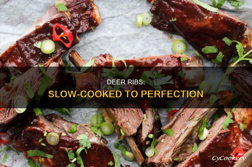 how to cook deer ribs in a crock pot