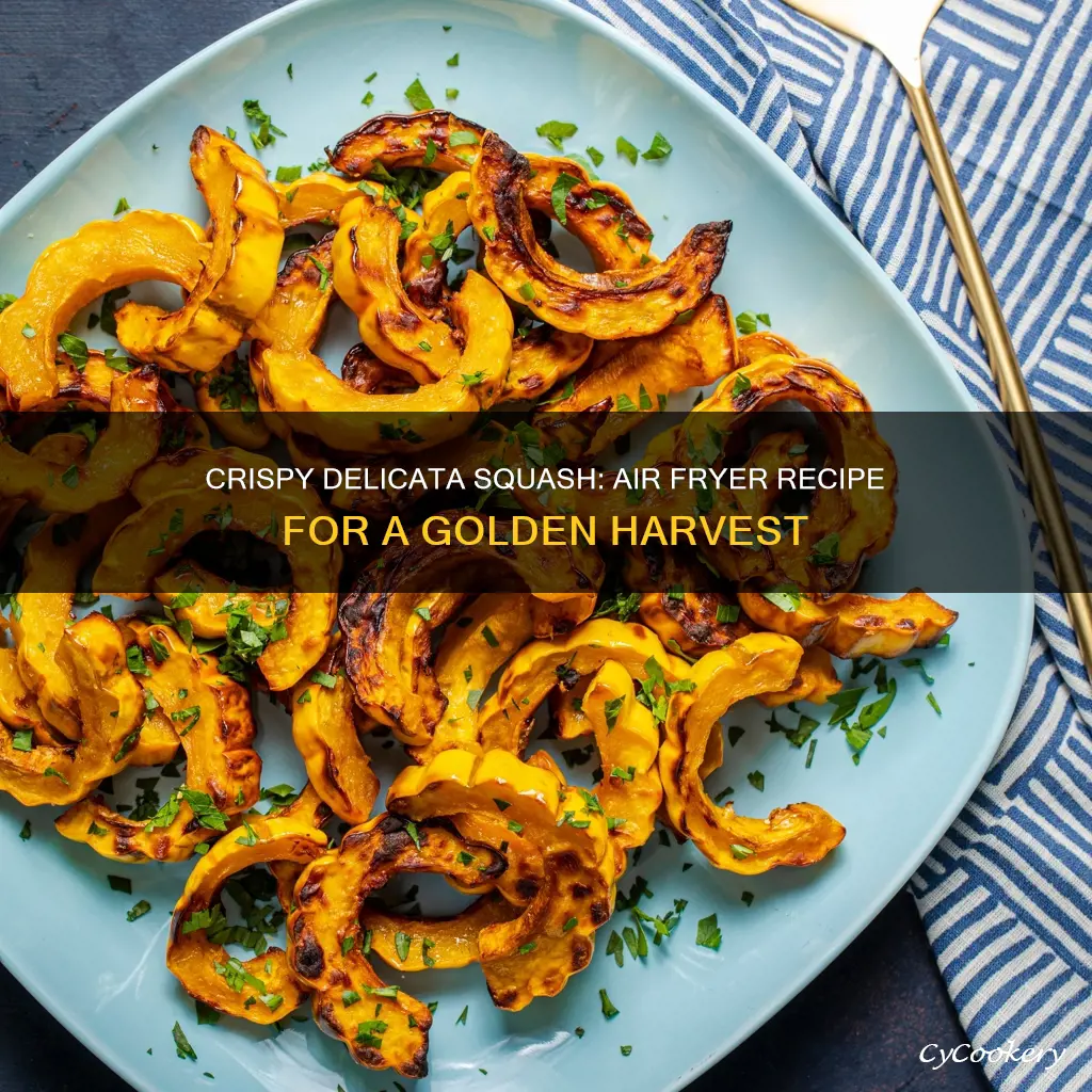 how to cook delicata squash air fryer