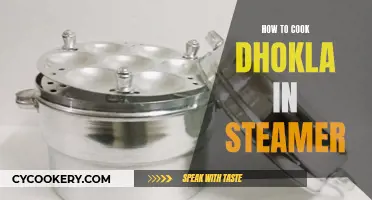 Steaming Soft Dhoklas: The Perfect Recipe for Your Steamer