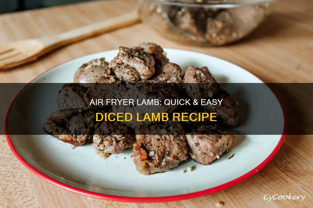 how to cook diced lamb in air fryer