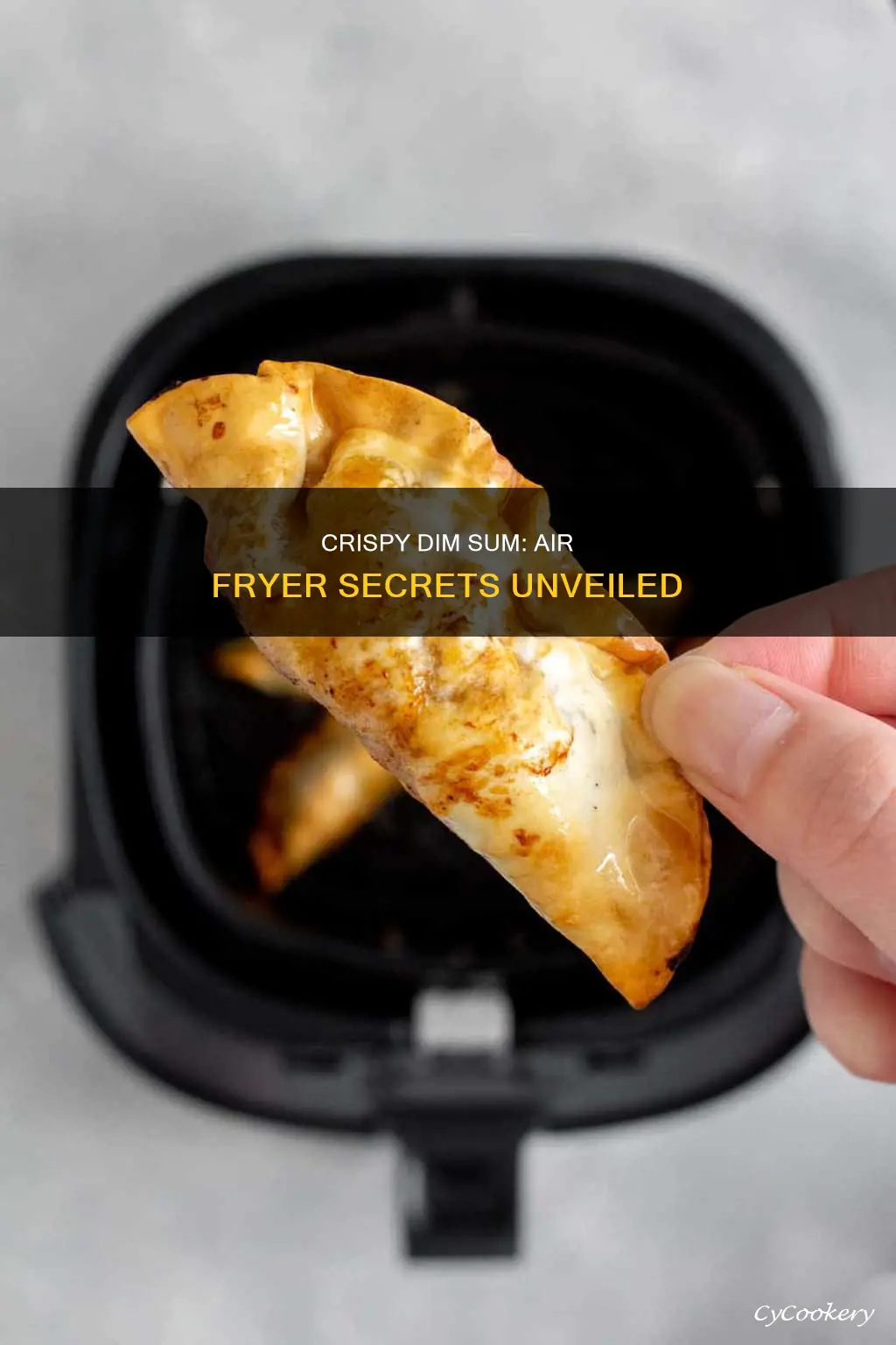 how to cook dim sum in air fryer