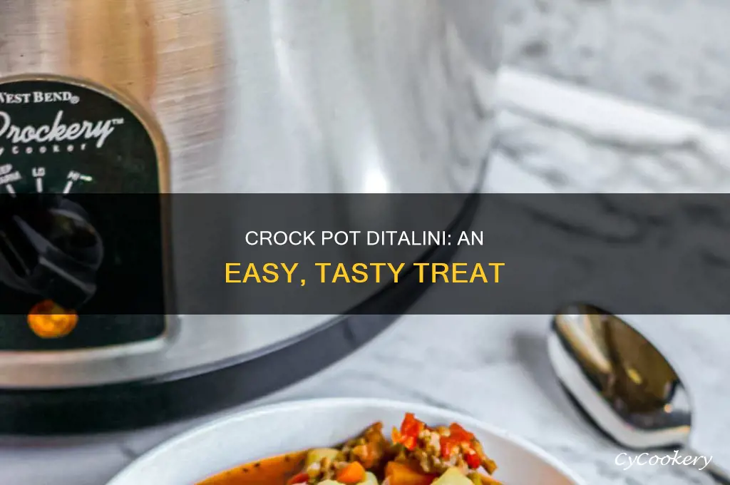 how to cook ditalini pasta in the crock pot