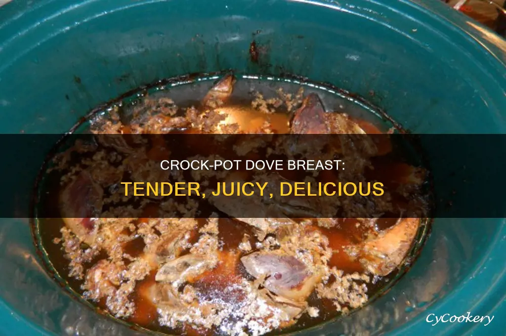 how to cook dove breast in crock pot
