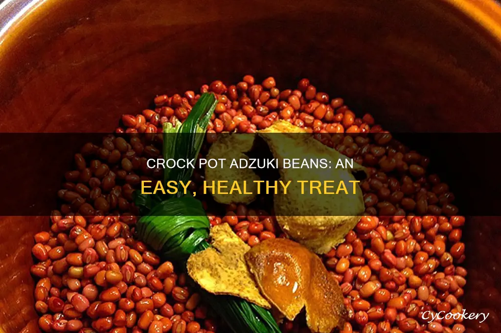 how to cook dried adzuki beans in a crock pot