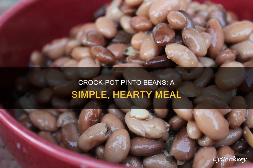 how to cook dried pinto beans in a crock pot
