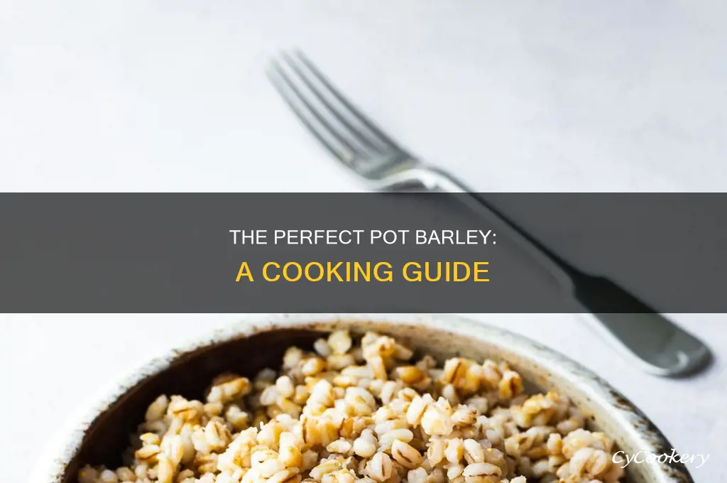how to cook dried pot barley