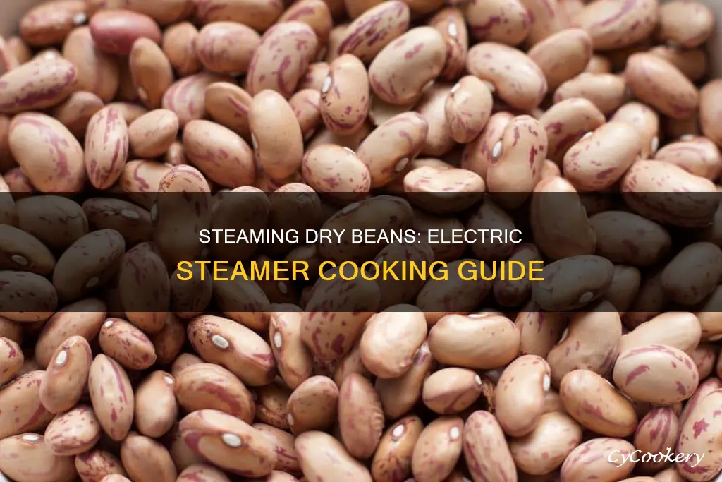 how to cook dry beans in an electric steamer