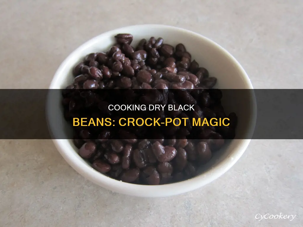 how to cook dry black beans in crock pot