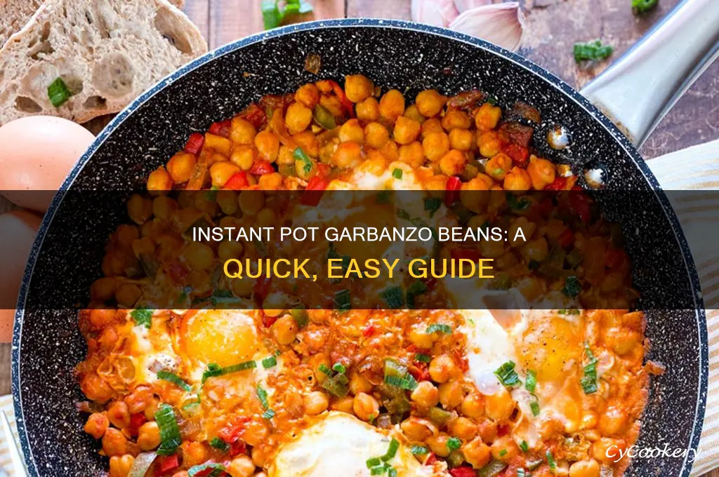 how to cook dry garbanzo beans in the nstant pot