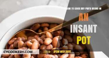 Instant Pot Pinto Beans: A Quick, Easy Guide