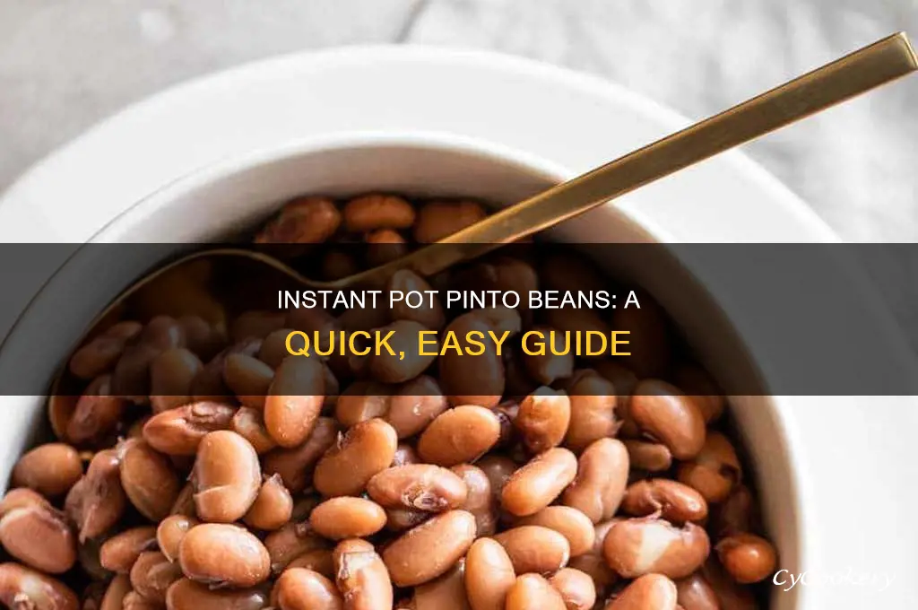 how to cook dry pinto beans in an insant pot