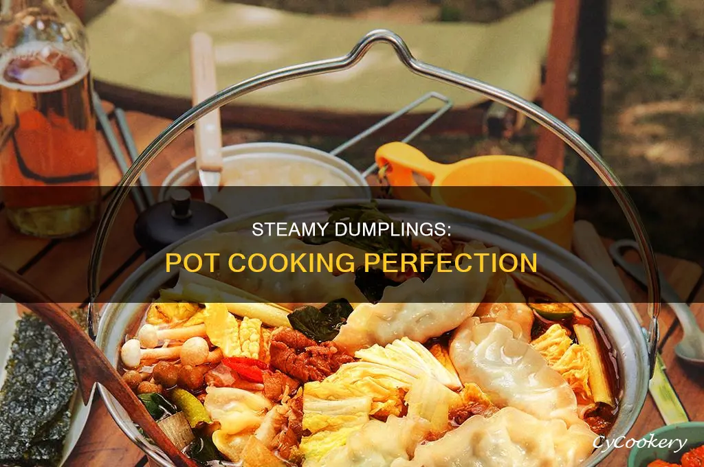 how to cook dumpling in a pot