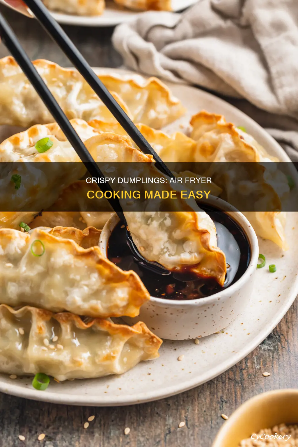 how to cook dumpling in air fryer