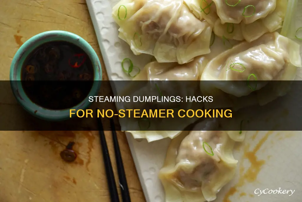 how to cook dumpling without steamer