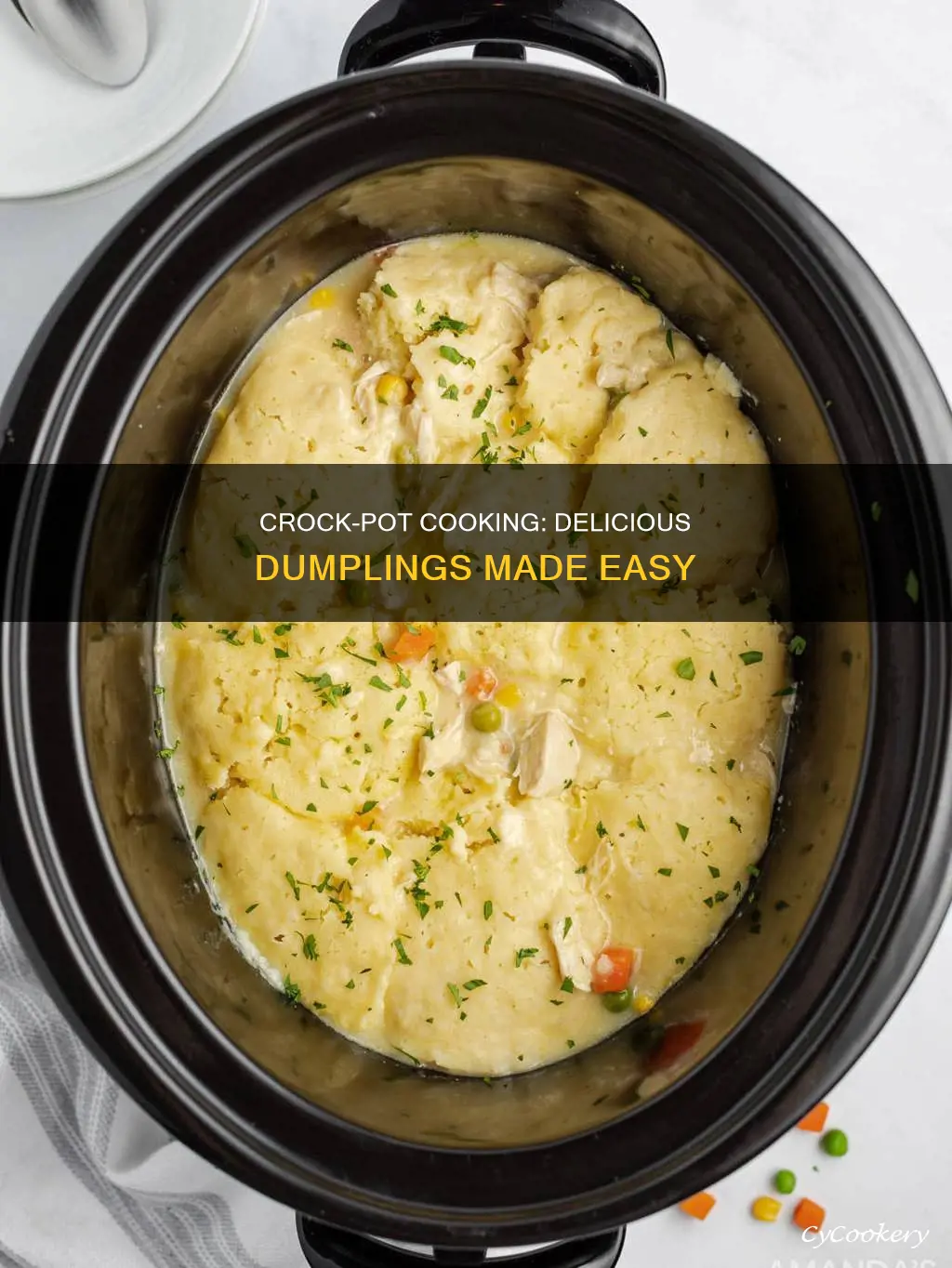 how to cook dumplings in a crock pot