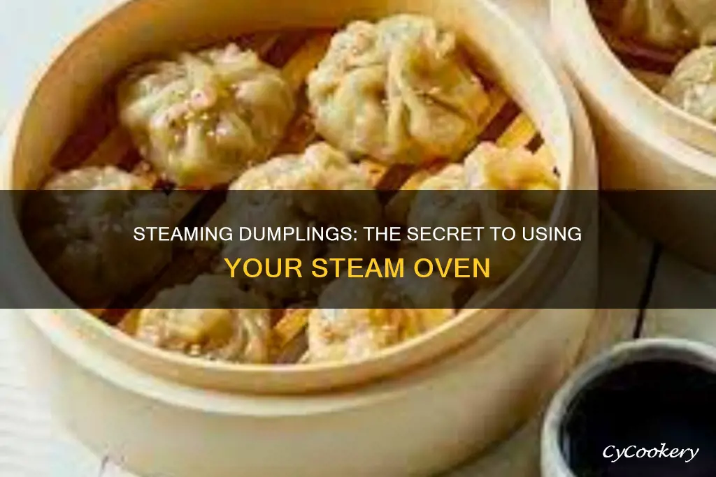 how to cook dumplings in a steam oven