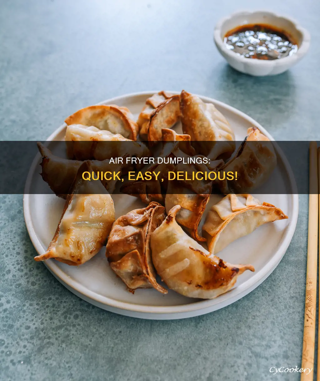 how to cook dumplings in an air fryer