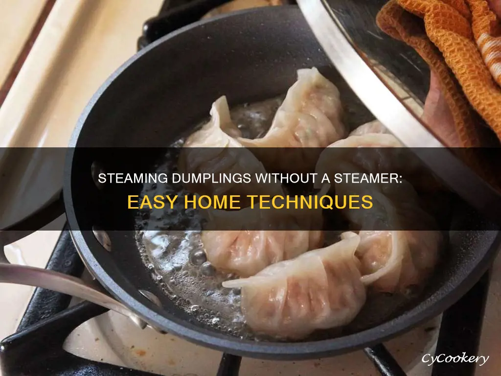 how to cook dumplings without a steamer