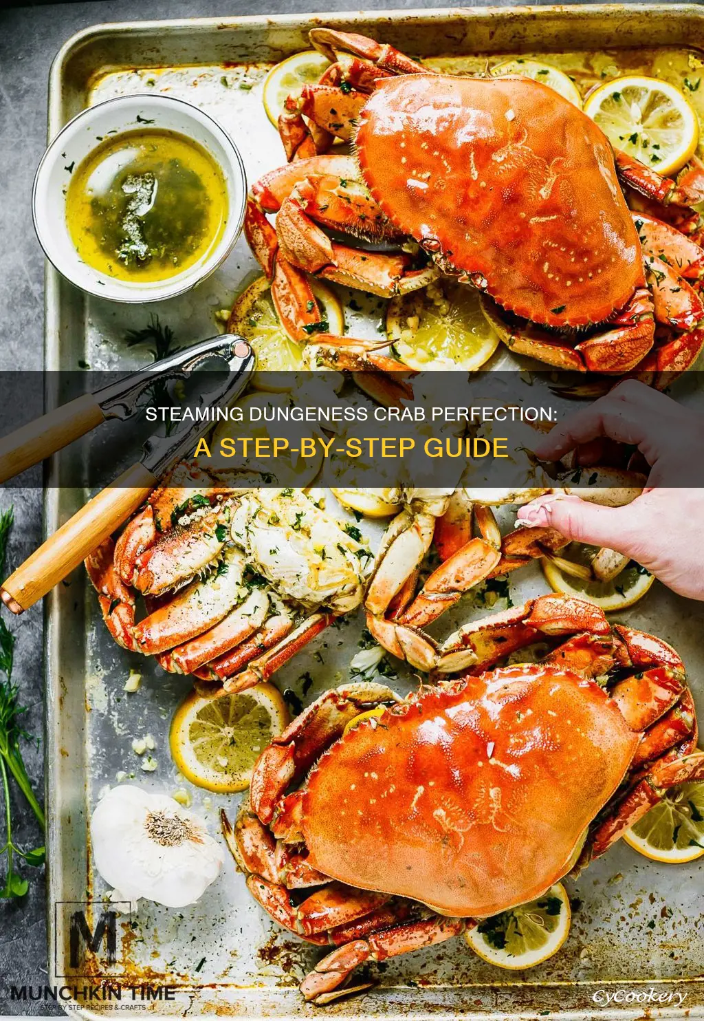 how to cook dungeness crab steam