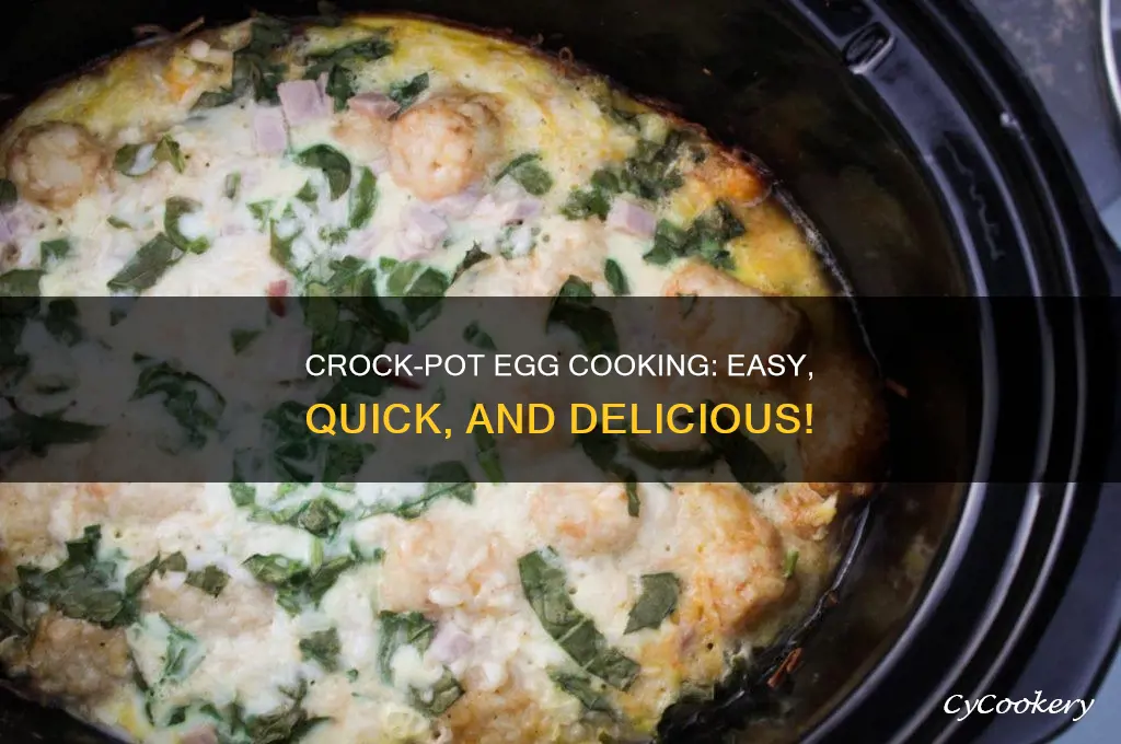how to cook eggs in a crock pot