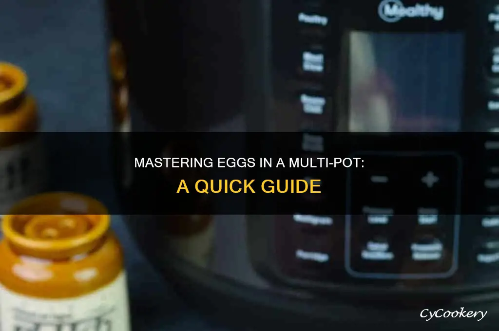 how to cook eggs in a multi pot