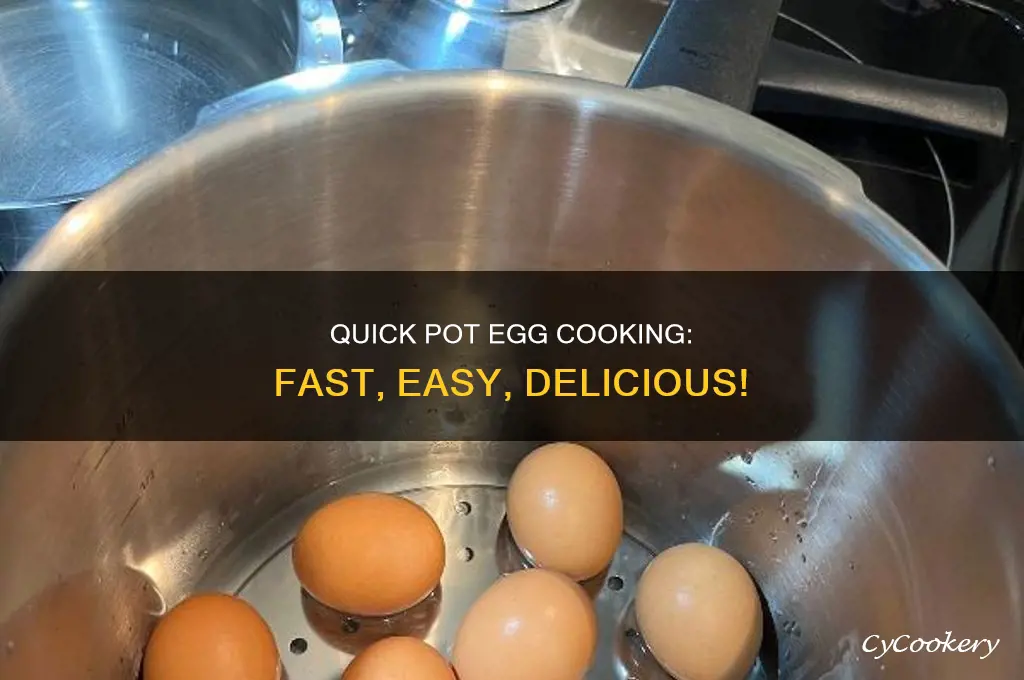 how to cook eggs in a quick pot