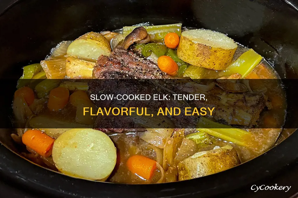 how to cook elk in a crock pot