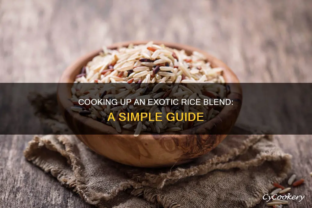 how to cook exotic rice blend