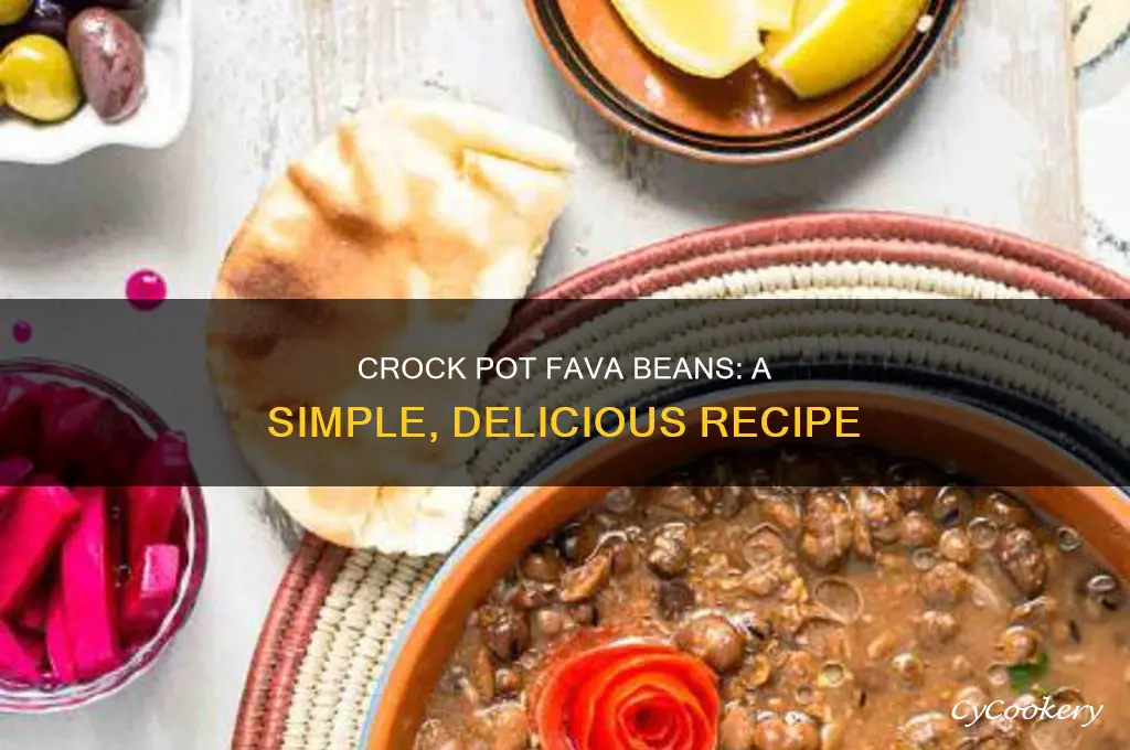 how to cook fava beans in crock pot