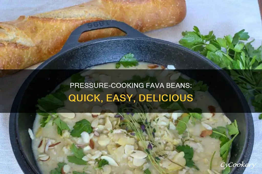 how to cook fava beans in the instan pot