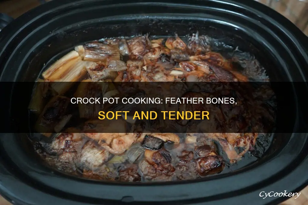 how to cook feather bones in crock pot