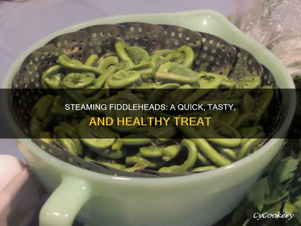 how to cook fiddleheads steam