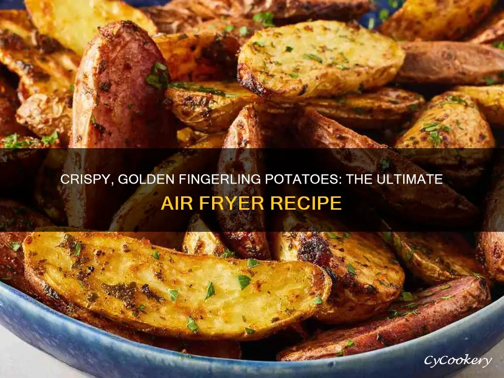 how to cook fingerling potatoes air fryer