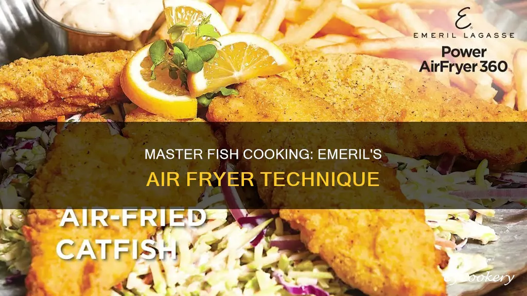 how to cook fish in emeril air fryer