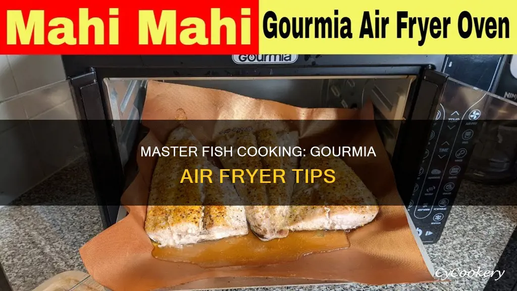 how to cook fish in gourmia air fryer