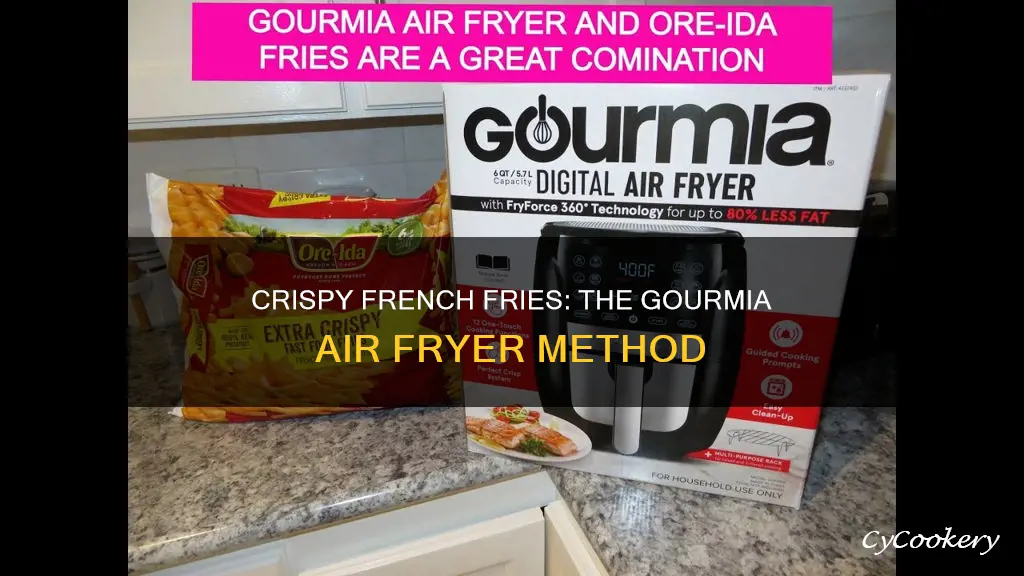 how to cook french fries in a gourmia air fryer