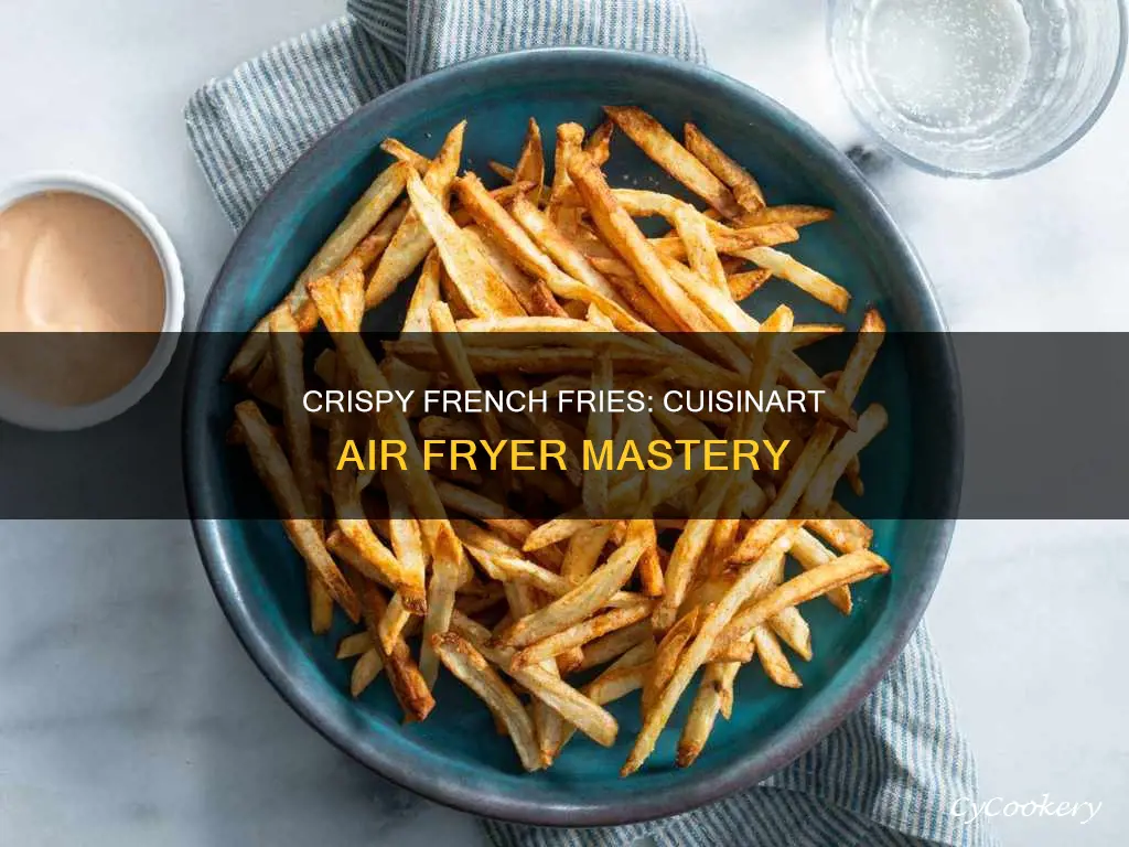 how to cook french fries in cuisinart air fryer