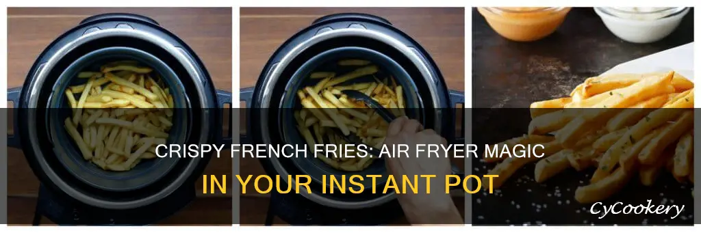 how to cook french fries in instant pot air fryer