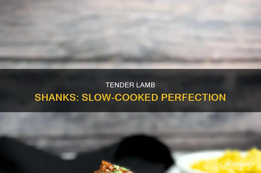 how to cook fresh lamb shanks in a crock pot