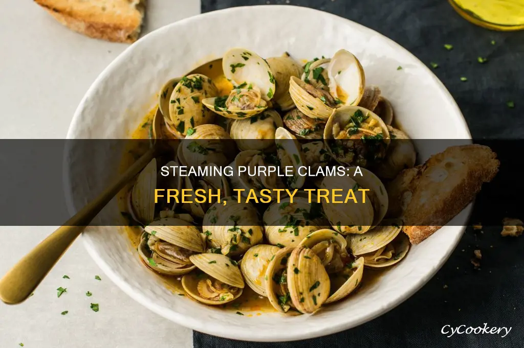 how to cook fresh purple varnish clams steamed