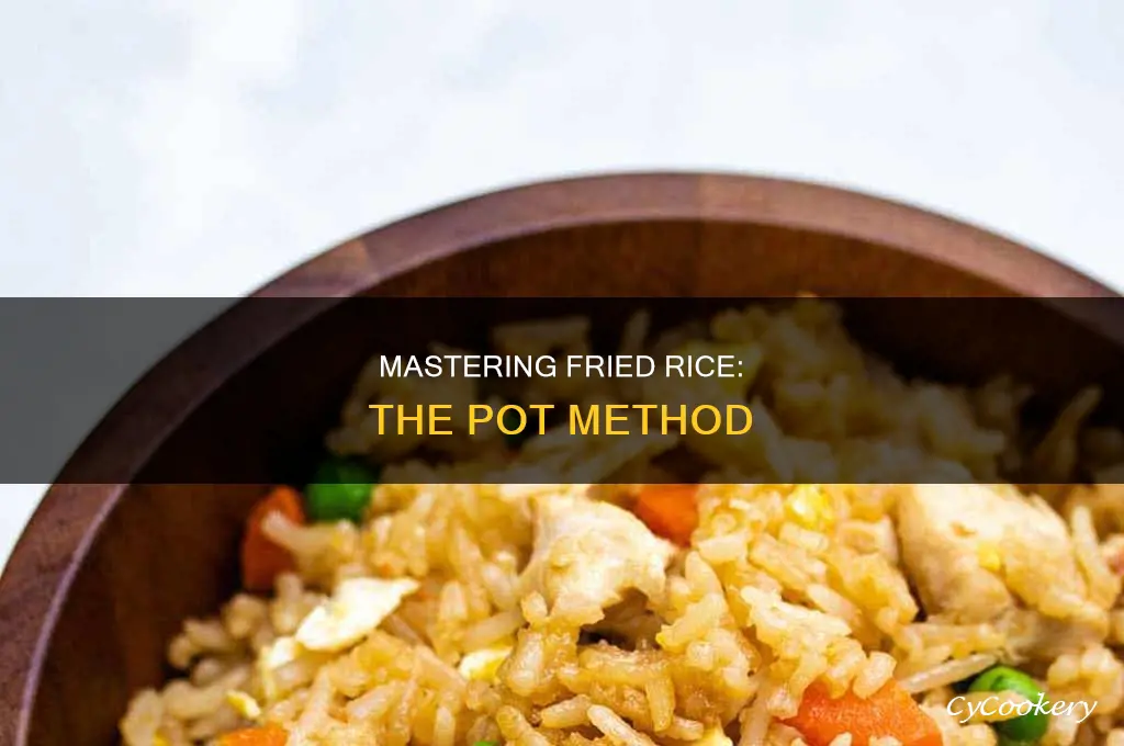 how to cook fried rice in a pot