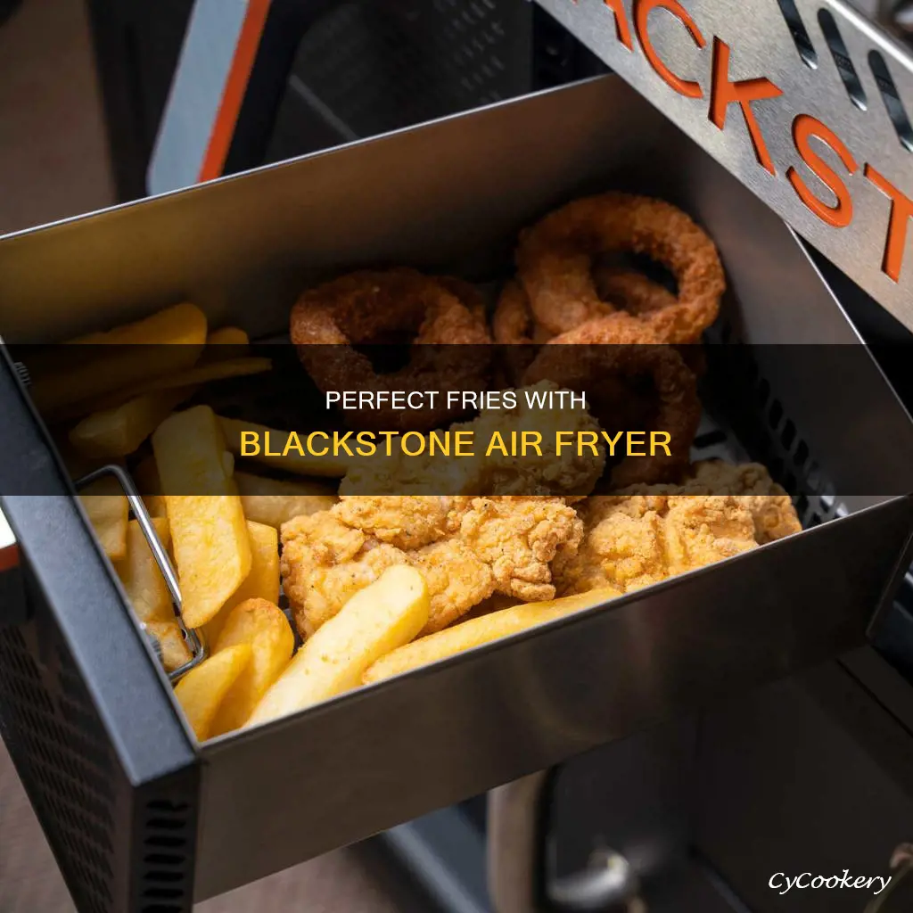 how to cook fries in blackstone air fryer