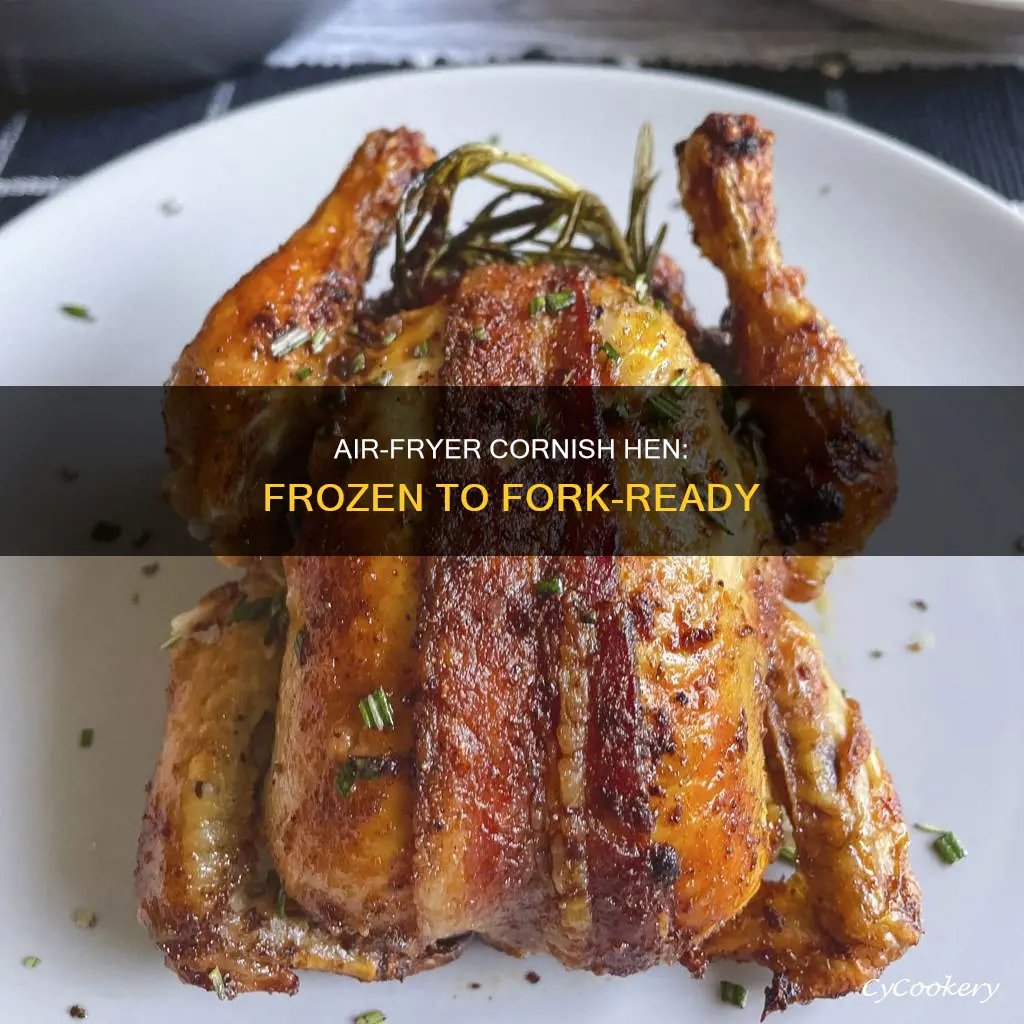 how to cook frozen cornish hen in air fryer