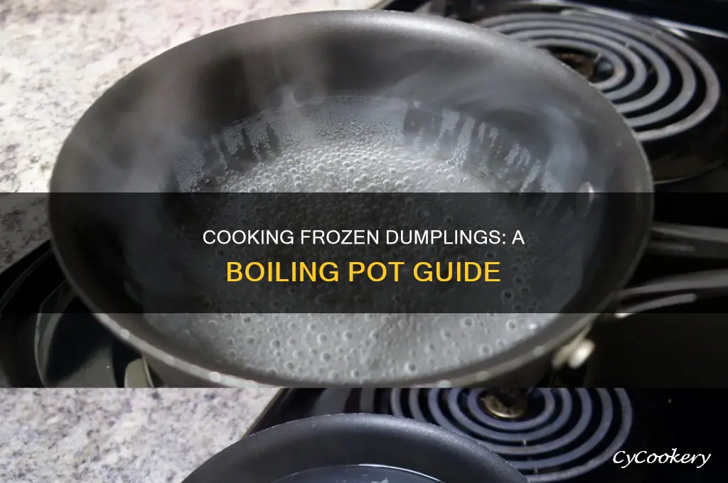 how to cook frozen dumplings in boiling pot